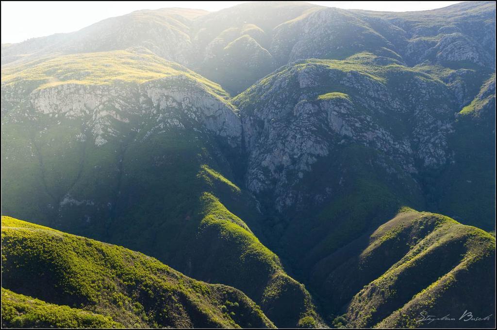 Pat Busch Mountain Reserve Robertson Ngoại thất bức ảnh