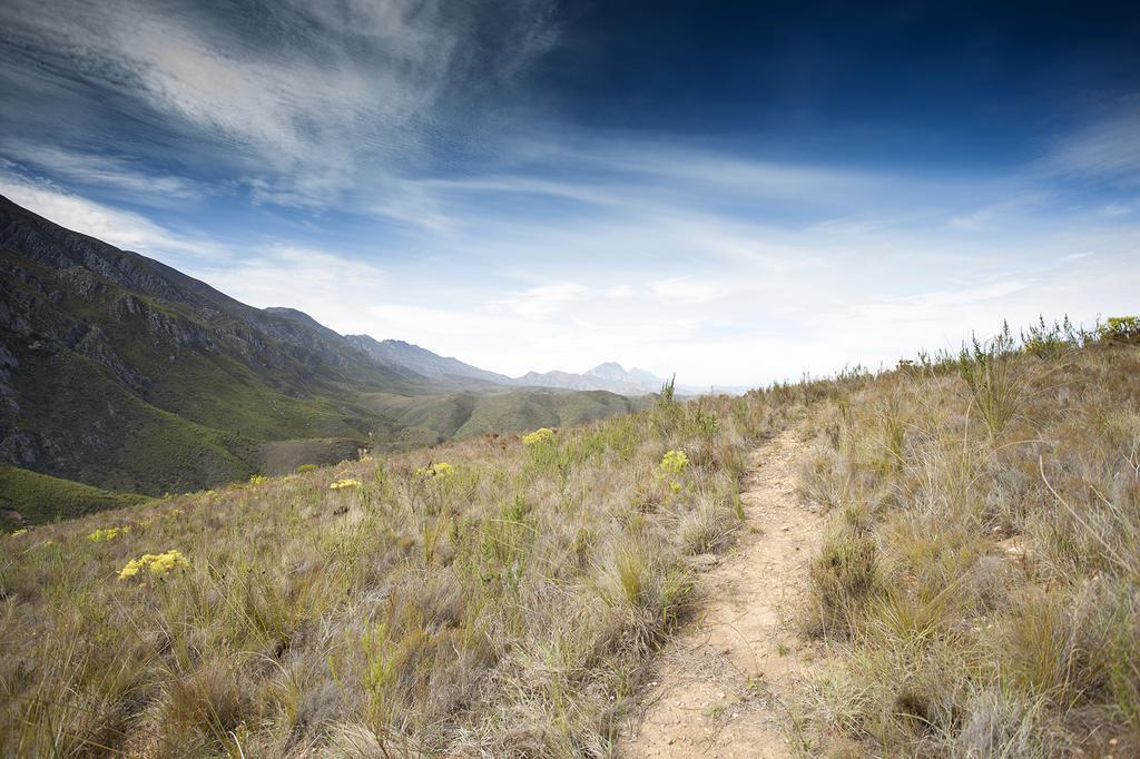 Pat Busch Mountain Reserve Robertson Ngoại thất bức ảnh