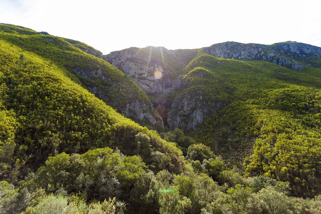 Pat Busch Mountain Reserve Robertson Ngoại thất bức ảnh