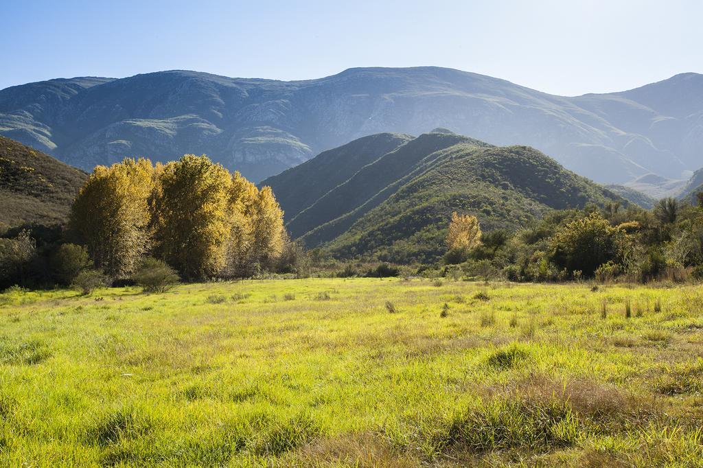 Pat Busch Mountain Reserve Robertson Ngoại thất bức ảnh